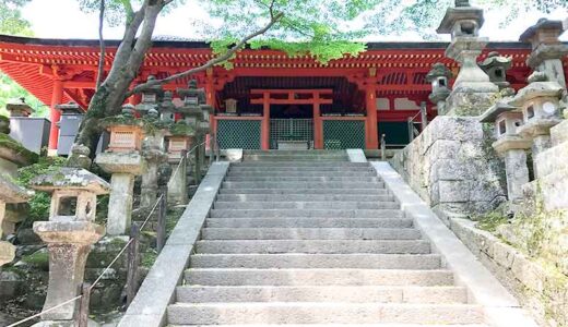 【奈良】春日大社へ参拝に行く前に御本殿の回廊の中にある榎本神社で参拝していこう