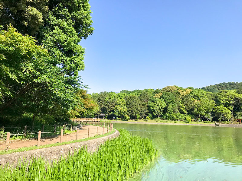 橿原神宮・深田池