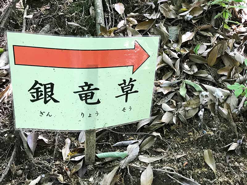 奈良・大神神社・天皇社