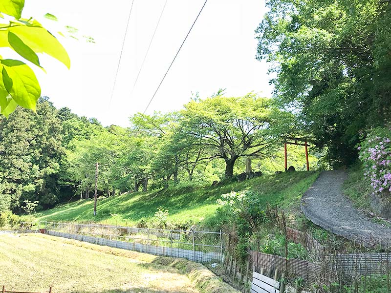 奈良・山の辺の道