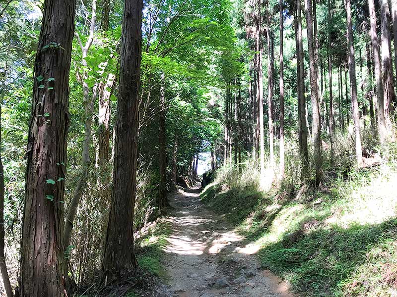 奈良・山の辺の道