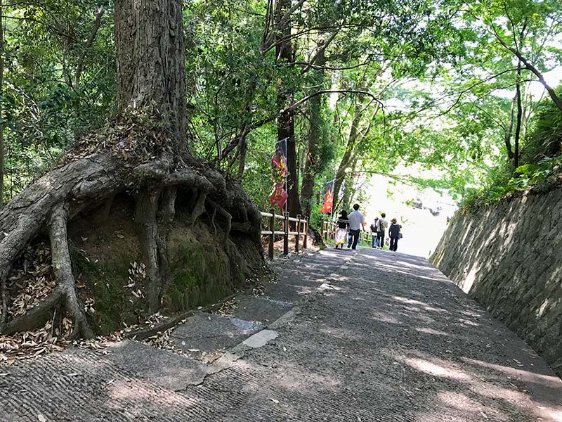 奈良・岡寺（龍蓋寺）