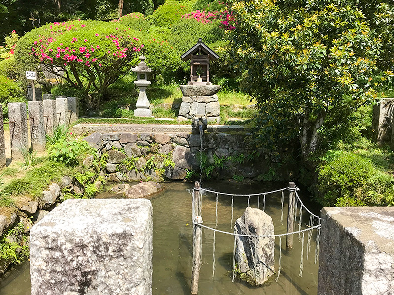 奈良・龍蓋寺（岡寺）