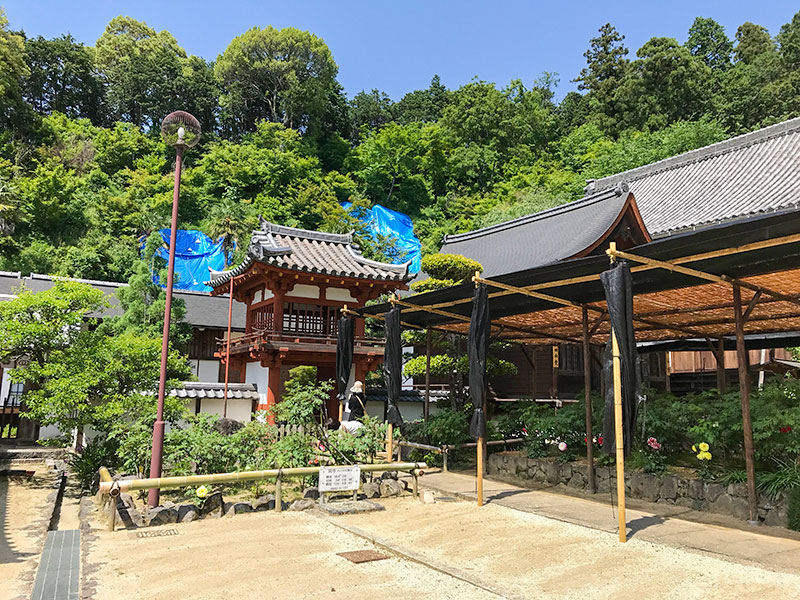 奈良・岡寺（龍蓋寺）