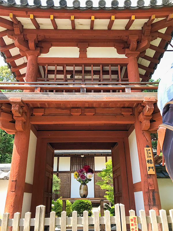 奈良・岡寺（龍蓋寺）