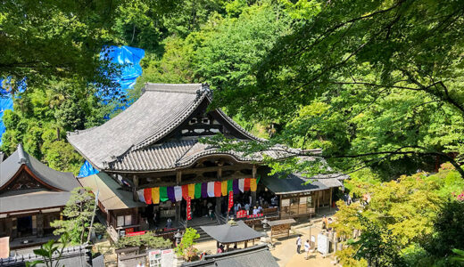 【奈良】石窟や三重宝塔など岡寺（龍蓋寺）の奥之院エリアも見所いっぱい