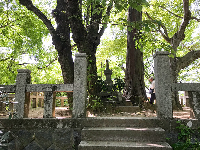 奈良・岡寺（龍蓋寺）