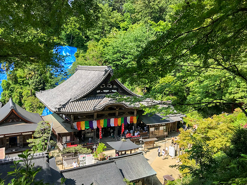 奈良・岡寺（龍蓋寺）