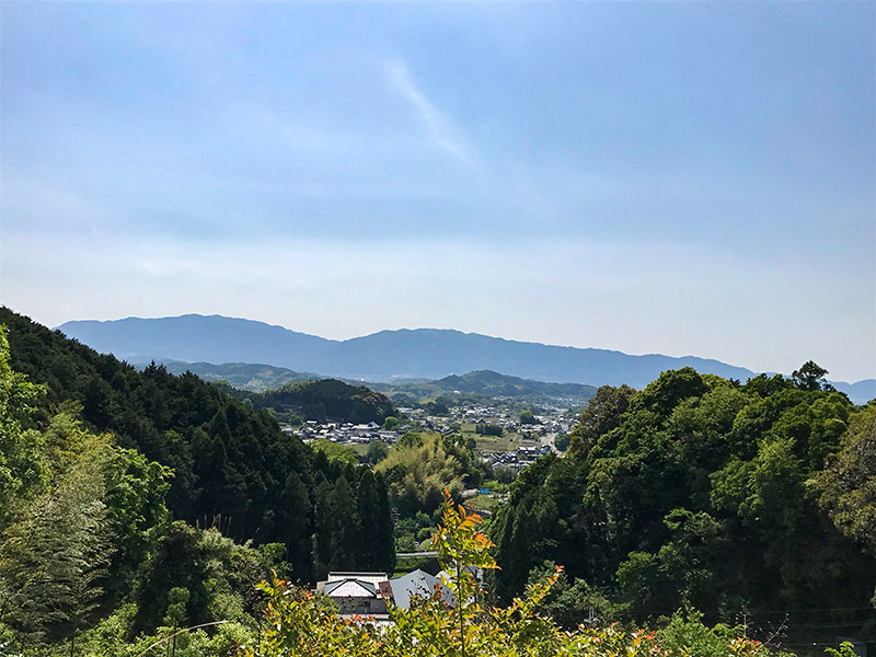 奈良・岡寺（龍蓋寺）