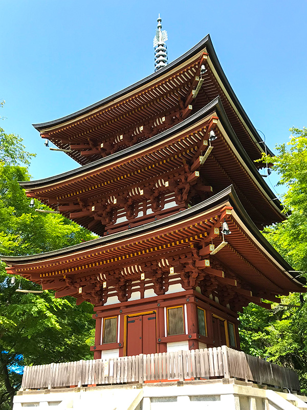 奈良・岡寺（龍蓋寺）三重塔