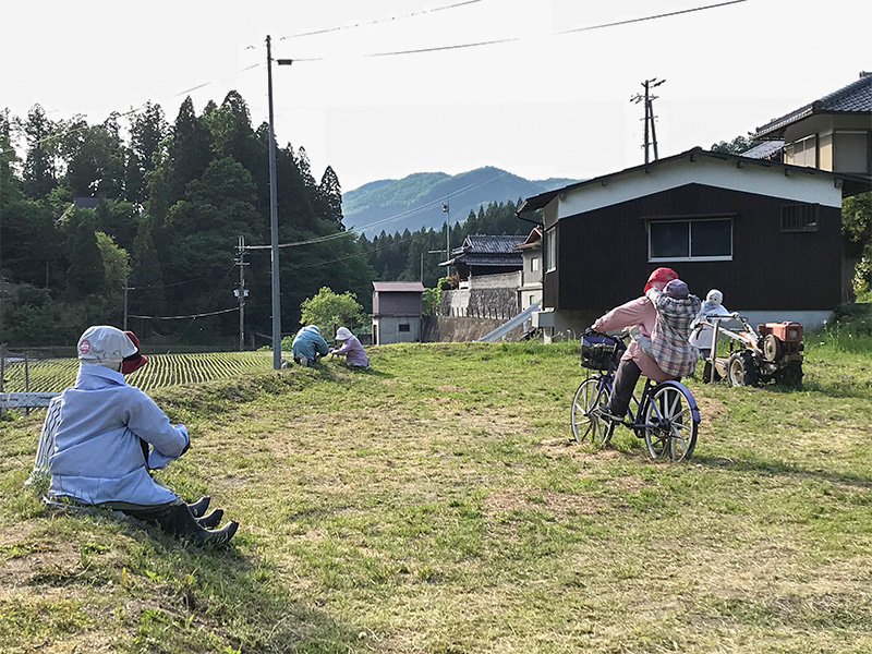 奈良県宇陀市室生砥取（ととり）の里のかかし