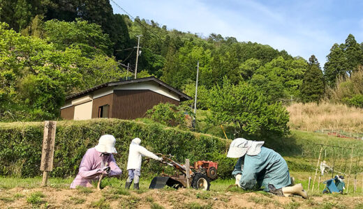 【奈良】室生の砥取にある「ととりの里公園」に今にも動き出しそうな案山子（カカシ）がおりました！