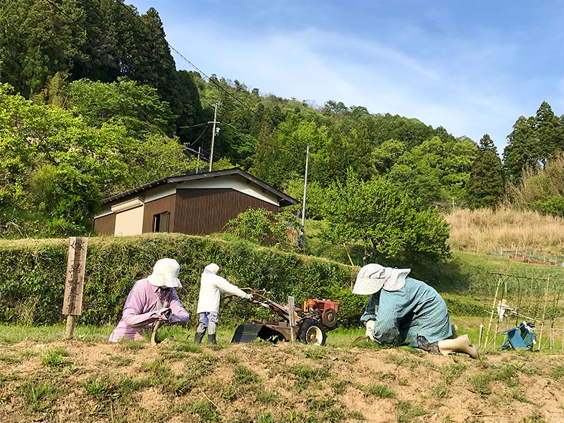 奈良県宇陀市室生砥取（ととり）の里のかかし