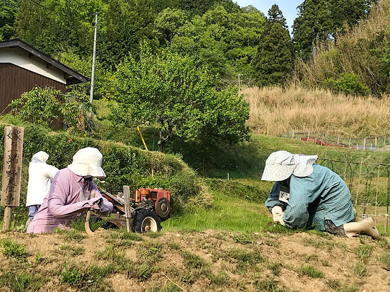 奈良県宇陀市室生砥取（ととり）の里のかかし