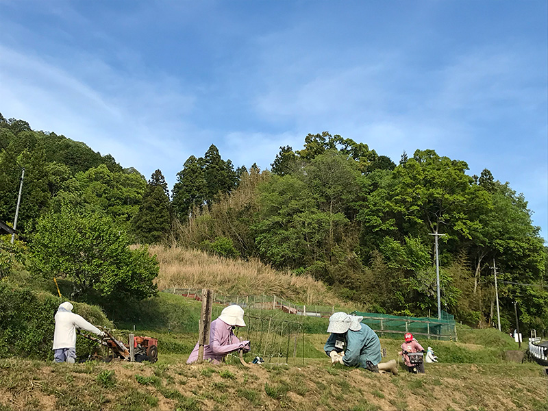 奈良県宇陀市室生砥取（ととり）の里のかかし