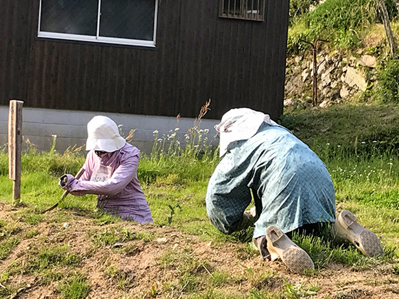 奈良県宇陀市室生砥取（ととり）の里のかかし