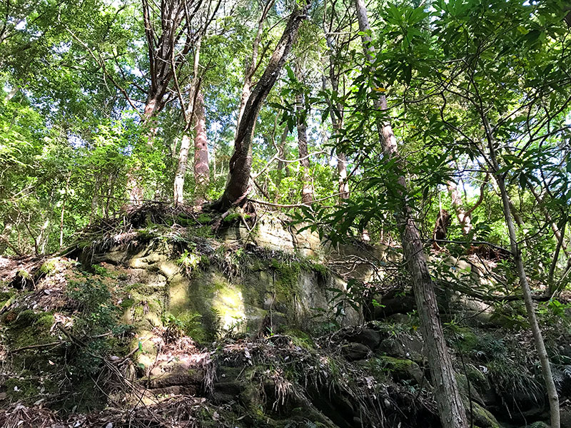 奈良・室生龍穴神社の龍穴