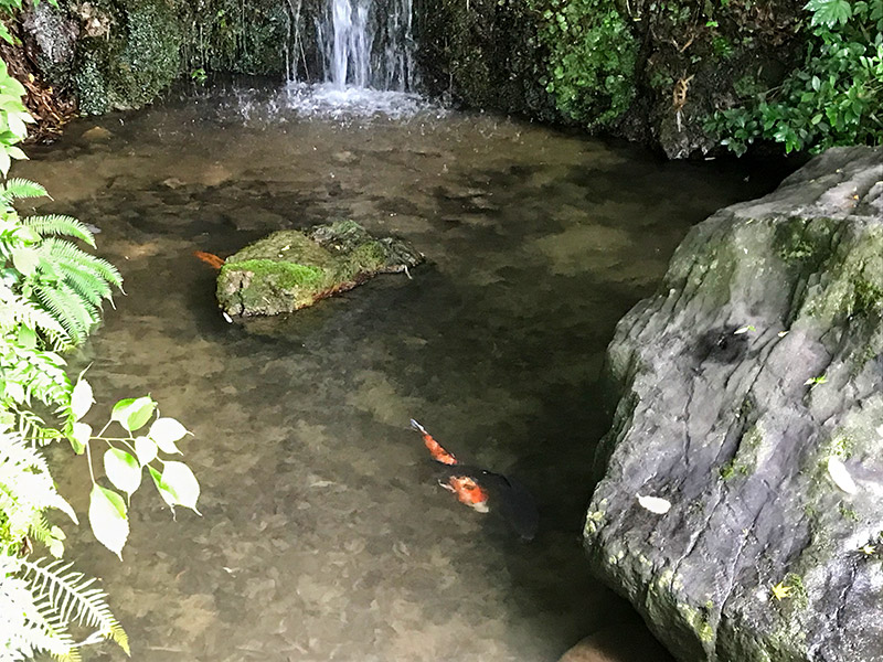 金剱宮（きんけんぐう）