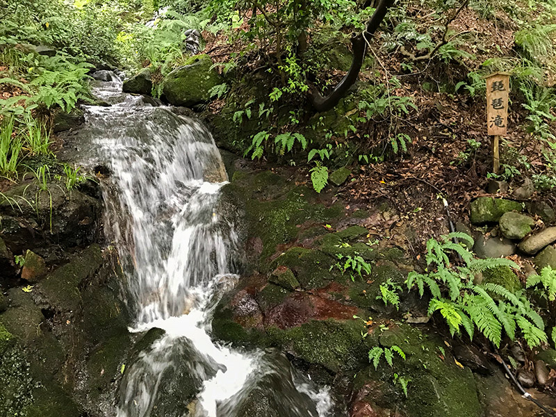 白山さんおついたち参り