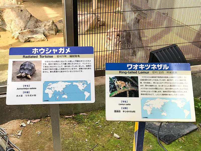 いしかわ動物園