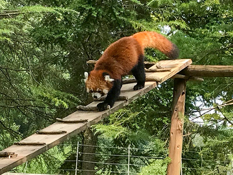 いしかわ動物園