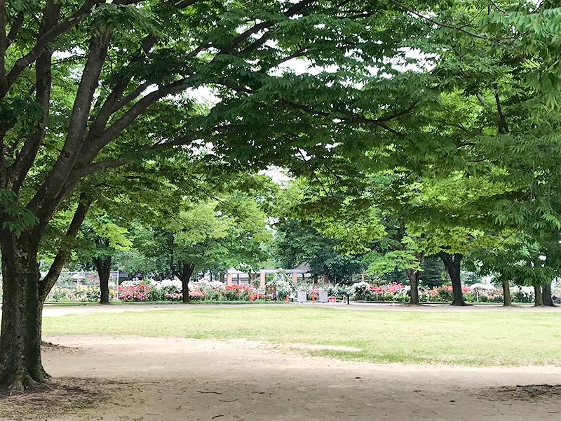 金沢バラ園・金沢南総合運動公園