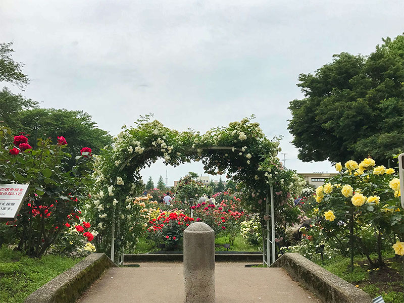 金沢バラ園・金沢南総合運動公園