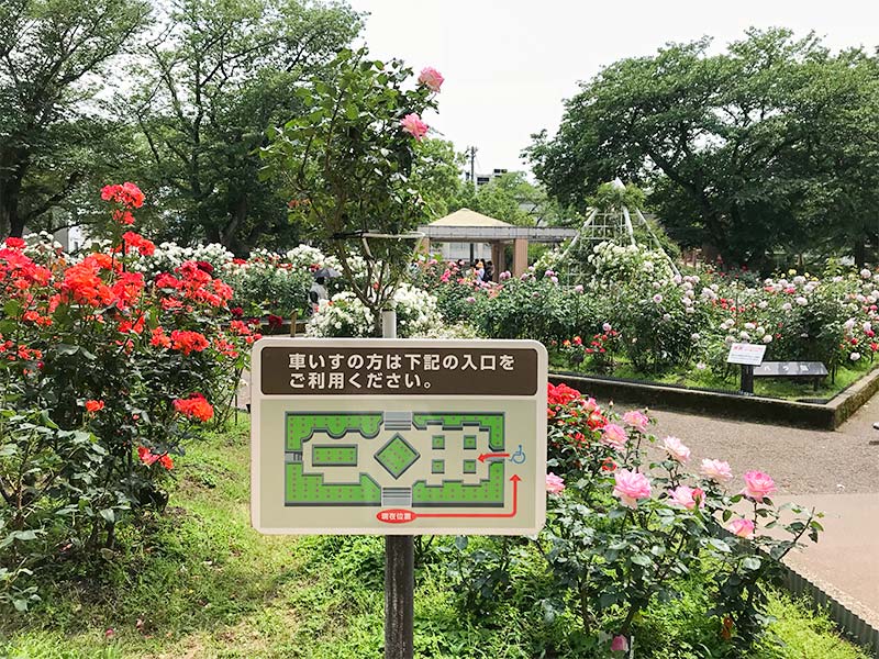 金沢バラ園・金沢南総合運動公園