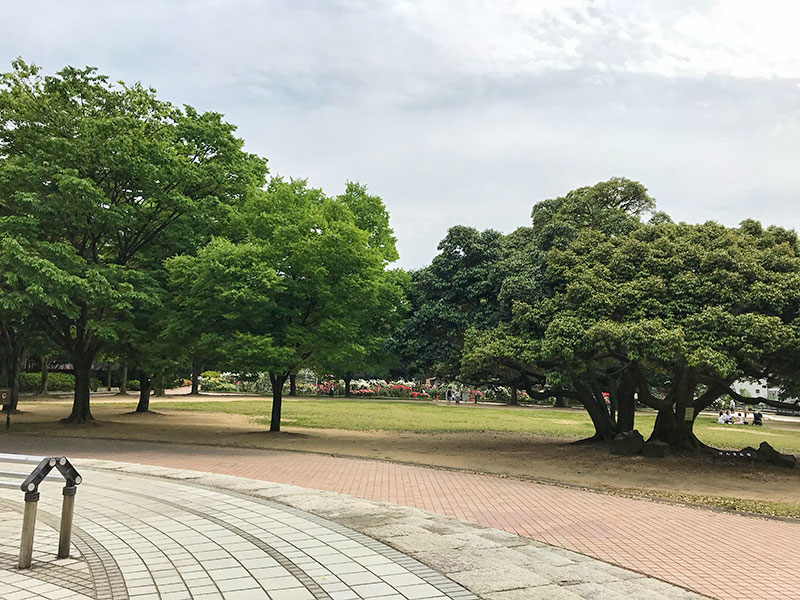 金沢バラ園・金沢南総合運動公園