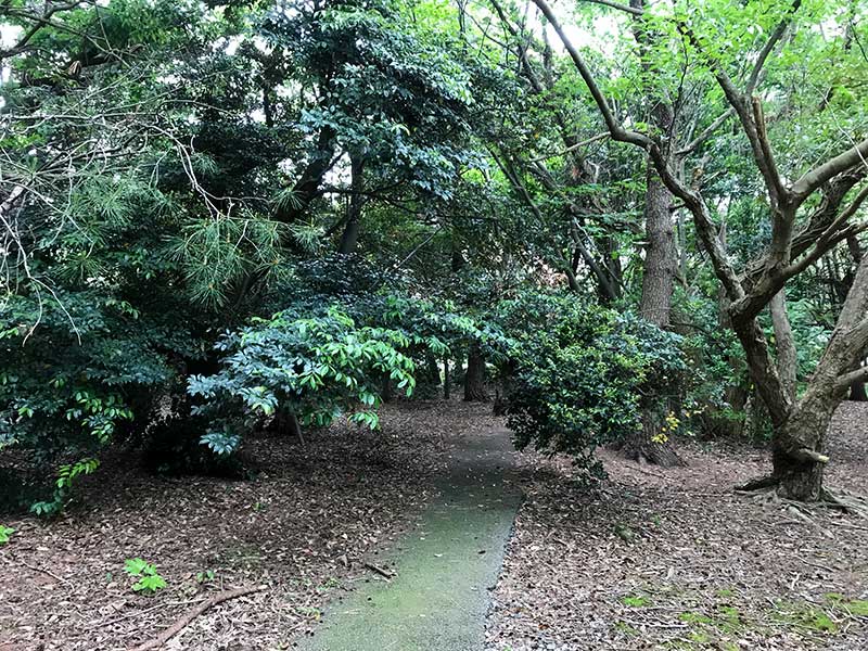 御経塚遺跡・縄文時代の遺跡