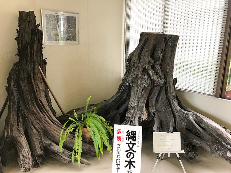 御経塚遺跡・ふるさと歴史館