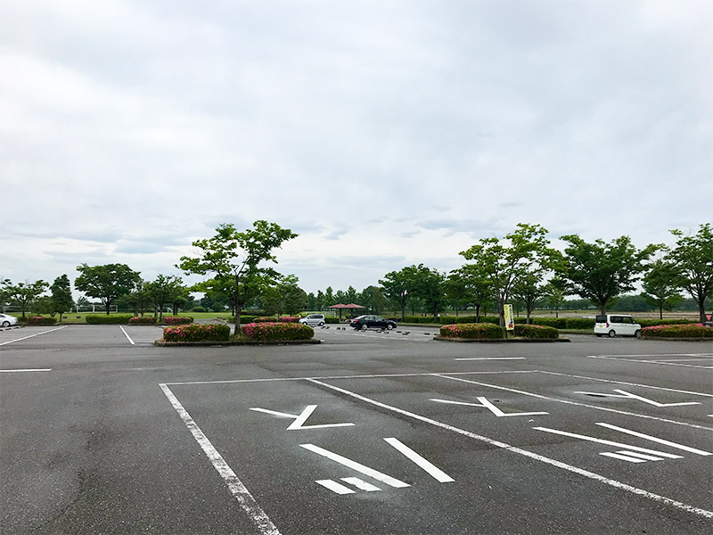 木場潟（石川県小松市）ウォーキング