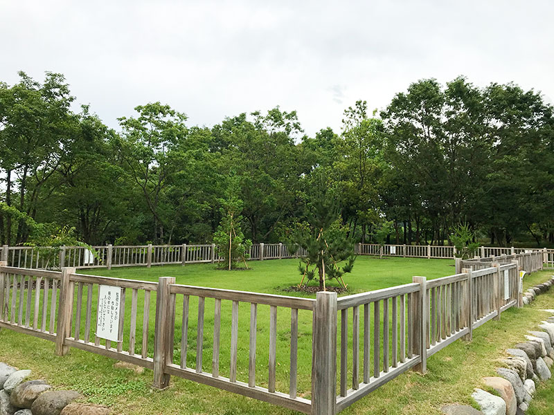 木場潟（石川県小松市）ウォーキング