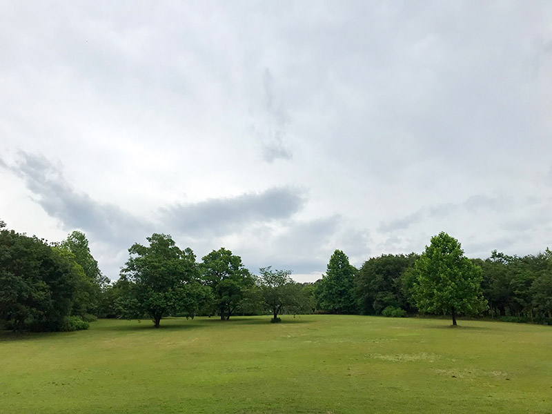 木場潟（石川県小松市）ウォーキング