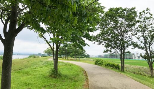 【石川県】小松市にある木場潟公園は自然をたっぷり感じながらウォーキングができるよ