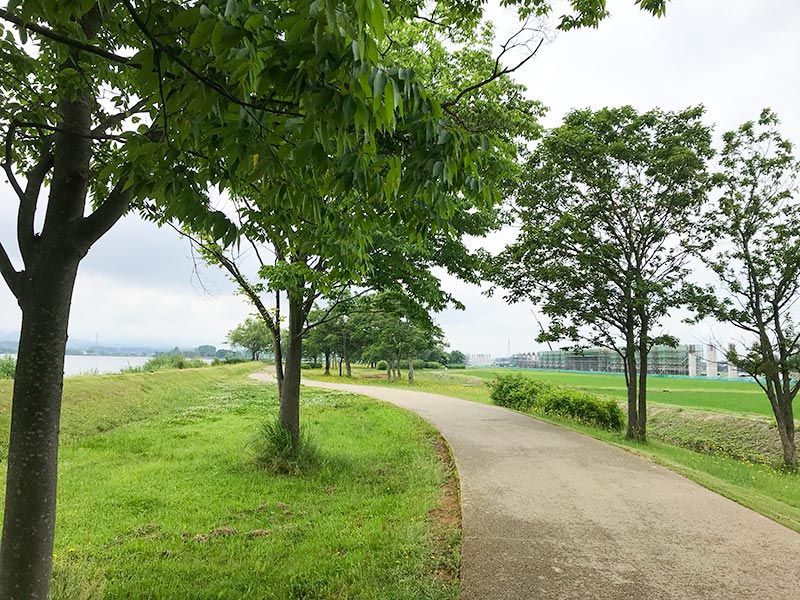 木場潟（石川県小松市）ウォーキング