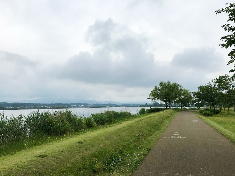 木場潟（石川県小松市）ウォーキング