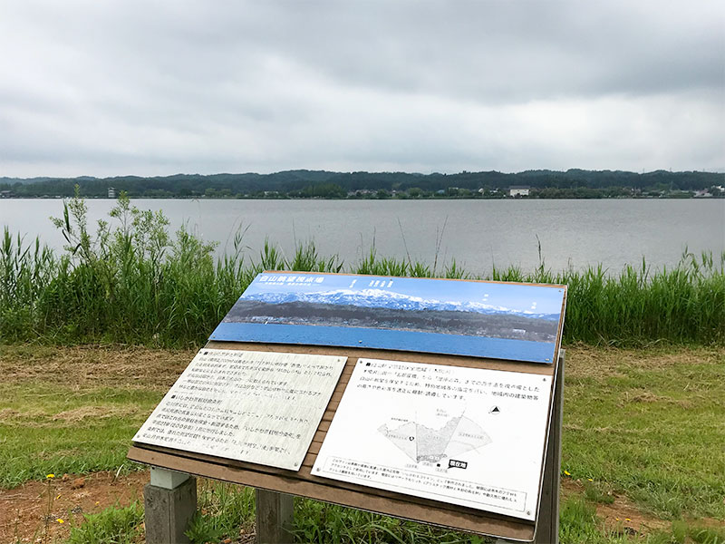 木場潟（石川県小松市）ウォーキング