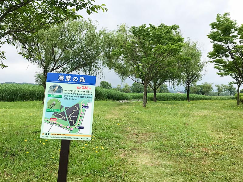 木場潟（石川県小松市）ウォーキング