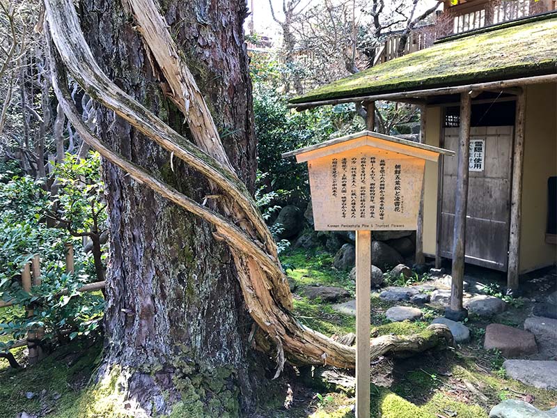 西田家庭園「玉泉園」