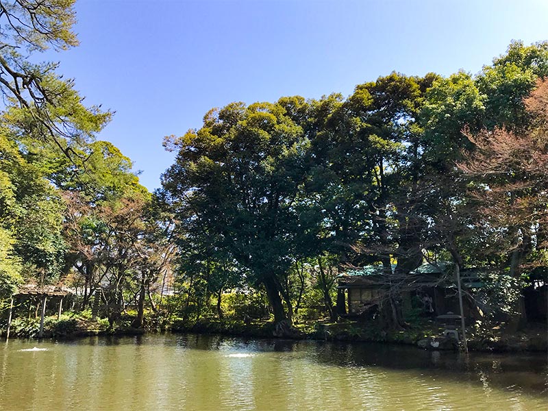 金沢 松風閣庭園