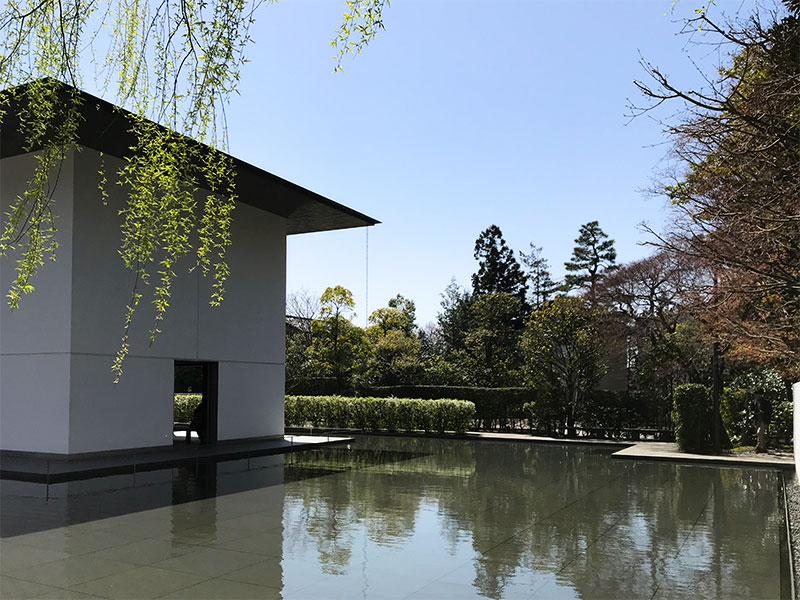 金沢・鈴木大拙館（水鏡の庭）