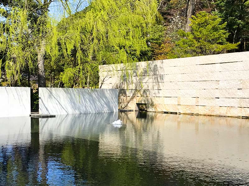 金沢・鈴木大拙館（水鏡の庭）