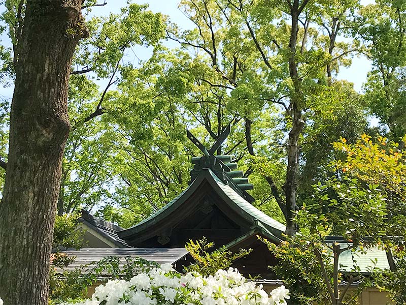 愛知名古屋「豊国神社」