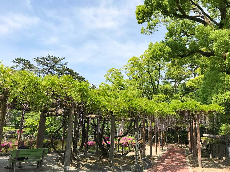 愛知中村公園（秀吉清正公園）