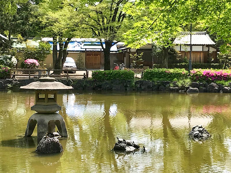 愛知中村公園（秀吉清正公園）