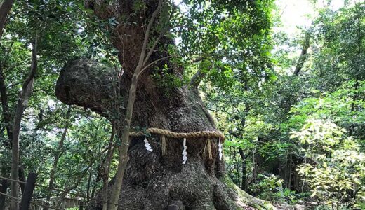 下のソーシャルリンクからフォロー