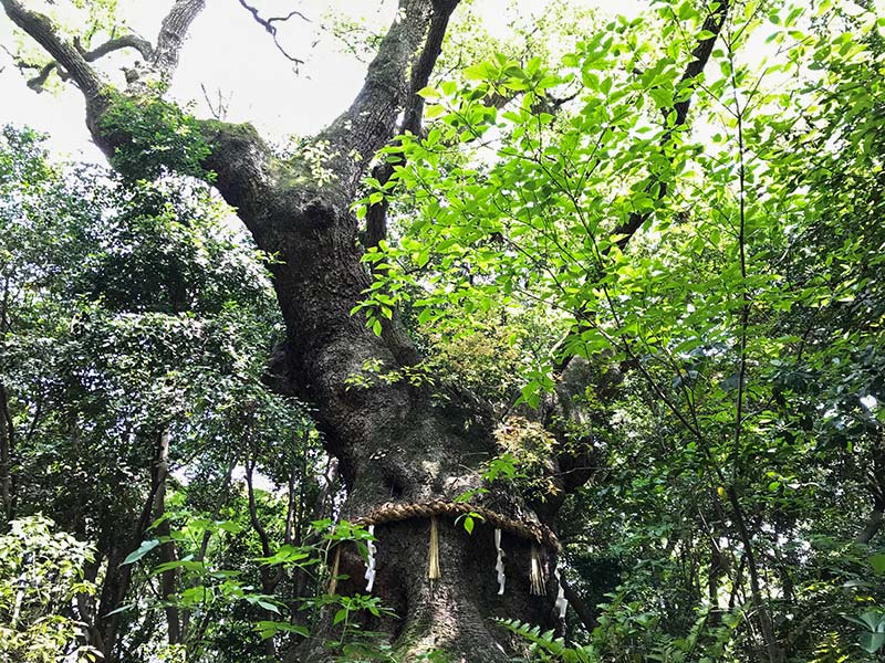 熱田神宮・こころの小径