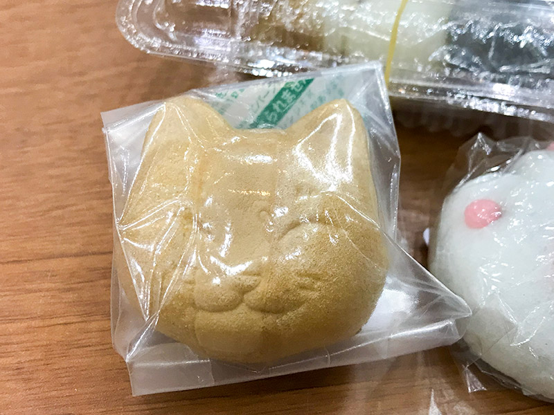 ねこばっかプラスワン2019