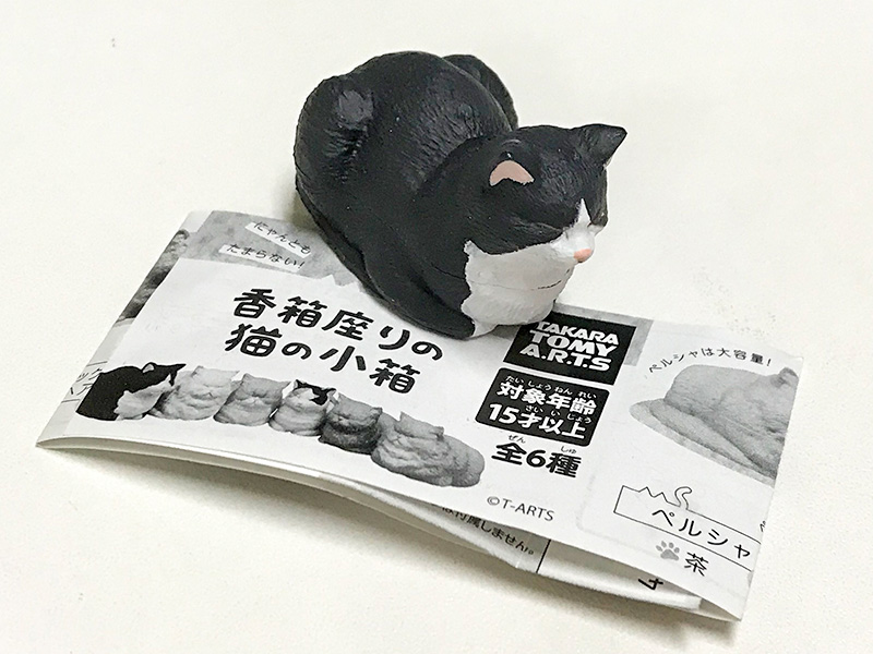 香箱座りの猫の小箱ハチワレ